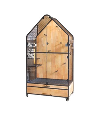 How to enrich your bird cage environment? How to enrich your bird cage environment?