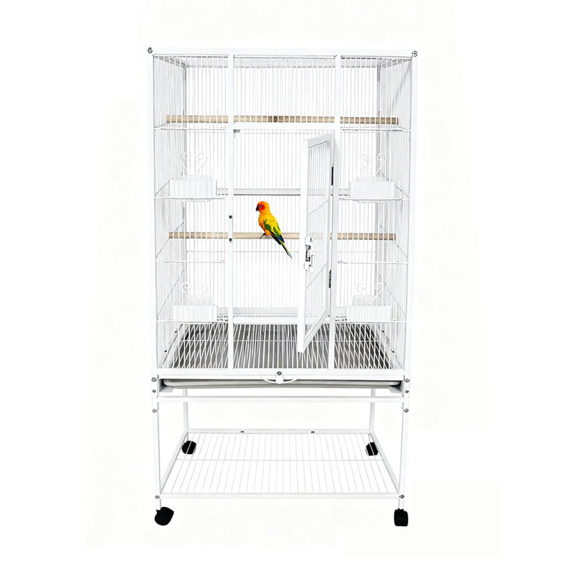 Why Is Finding the Right Bird Cage So Hard? A Deep Dive into Modern Avian Housing Solutions