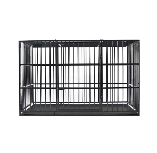 What size crate for Havanese?
