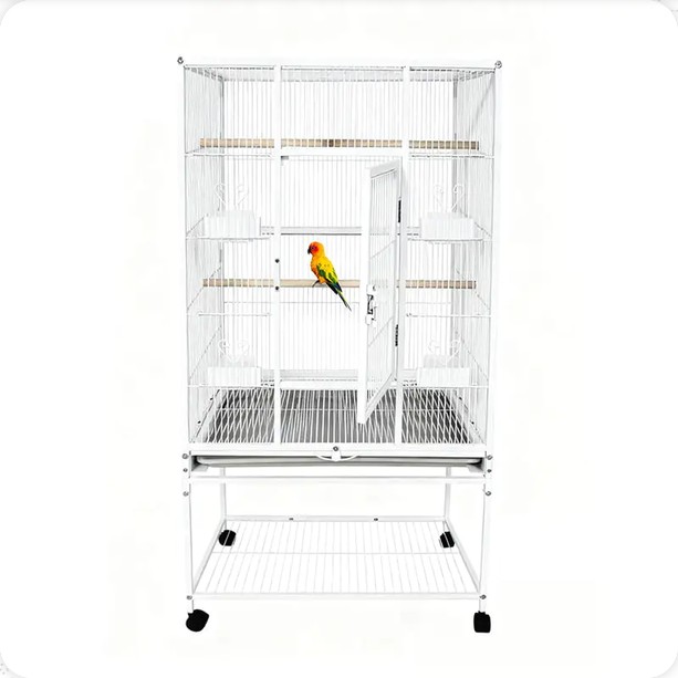 Bird Cage Cleaning Guide: Frequency, Methods & Maintenance Tips for Pet Bird Owners Bird Cage Cleaning Guide: Frequency, Methods & Maintenance Tips for Pet Bird Owners